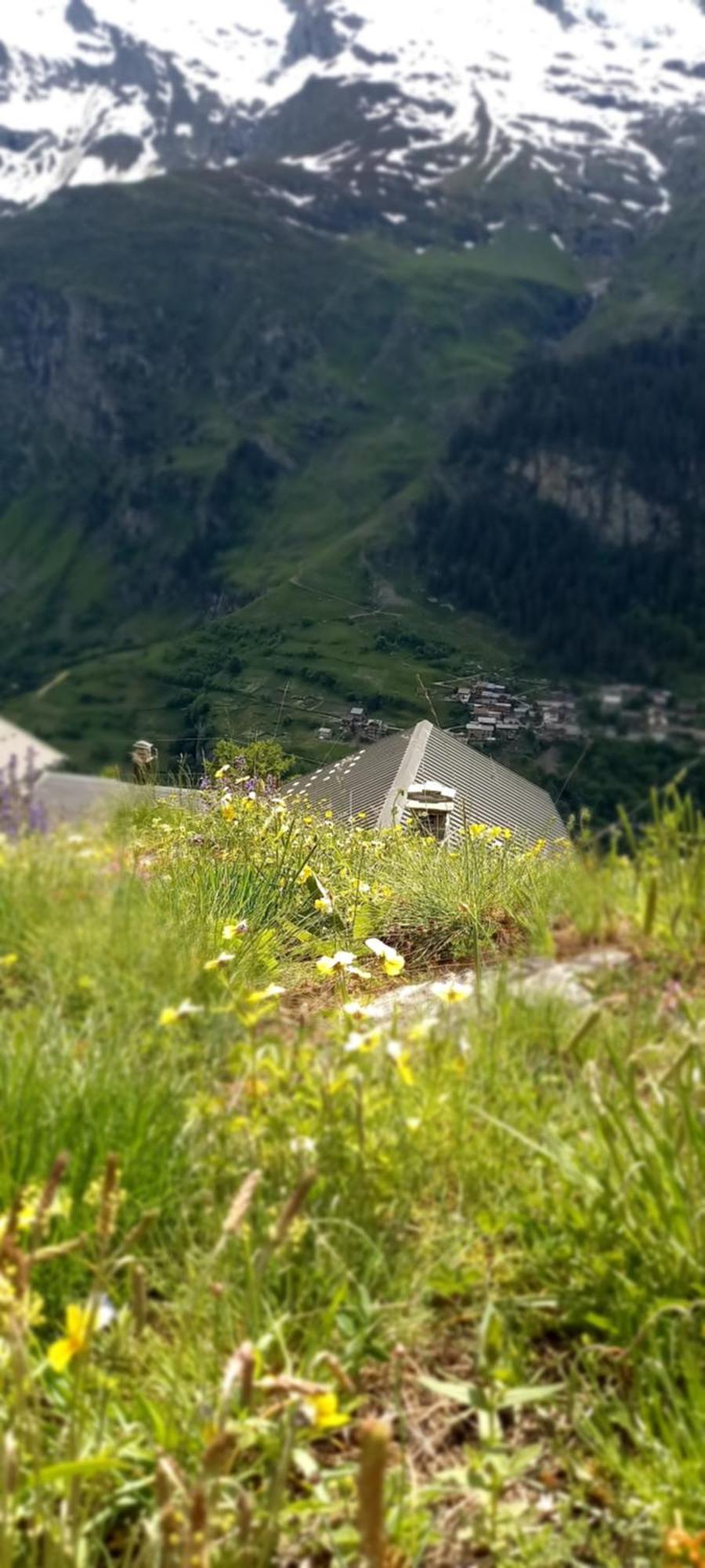 Les Campanules Διαμέρισμα Bourg-Saint-Maurice Εξωτερικό φωτογραφία
